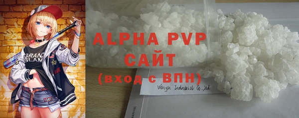 индика Володарск