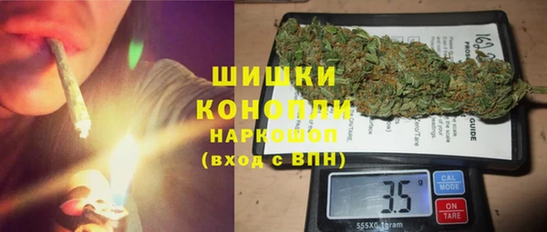 индика Володарск