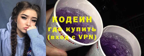 индика Володарск