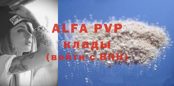 индика Володарск