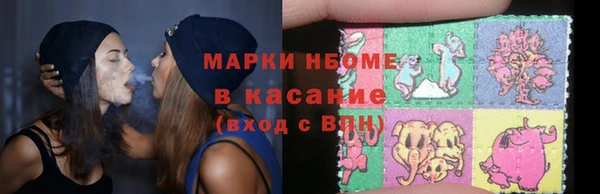 индика Володарск