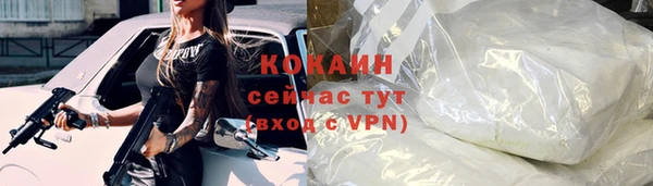 индика Володарск