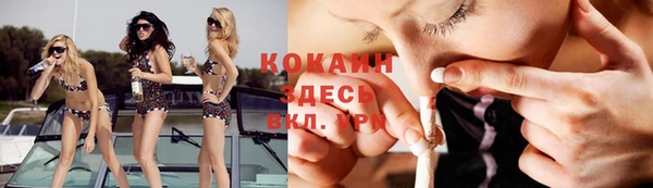 индика Володарск