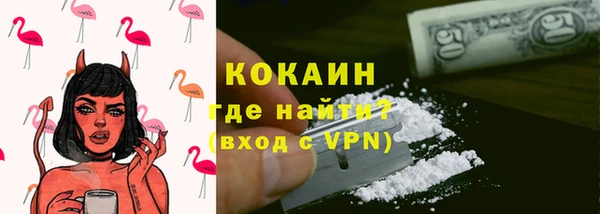 индика Володарск