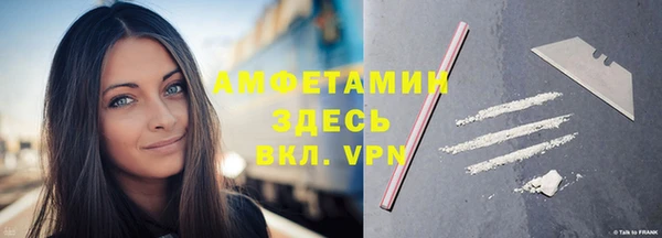 индика Володарск
