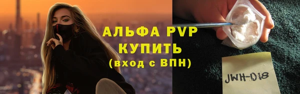 индика Володарск