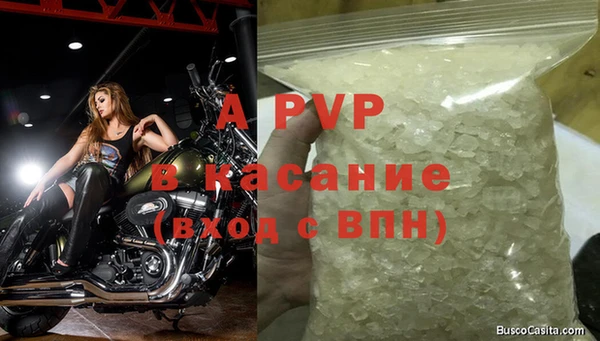 индика Володарск