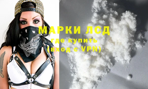 индика Володарск
